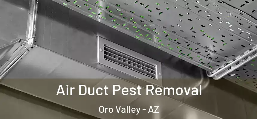  Air Duct Pest Removal Oro Valley - AZ