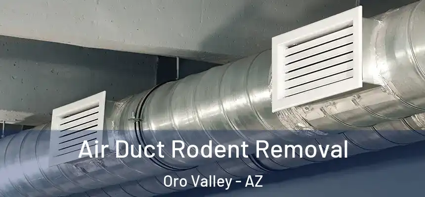  Air Duct Rodent Removal Oro Valley - AZ