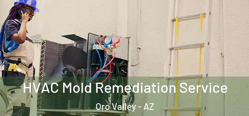  HVAC Mold Remediation Service Oro Valley - AZ