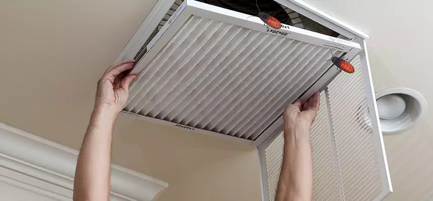 Preventive Cockroach-Proofing for Ducts in Oro Valley