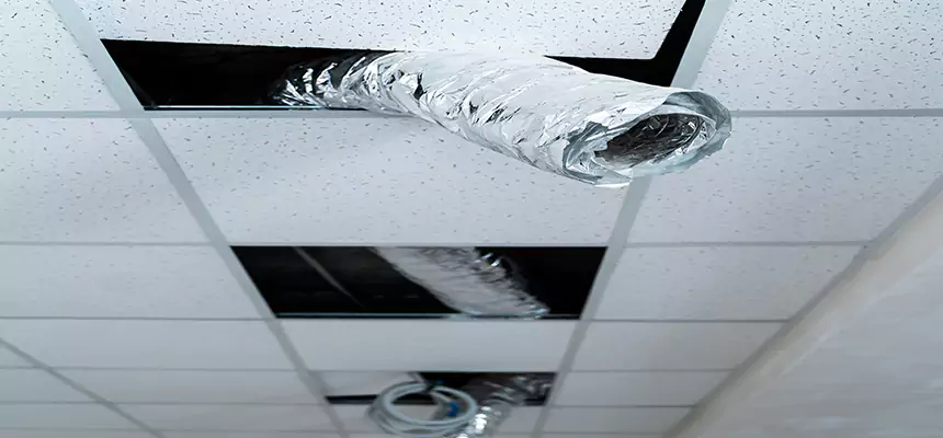 Affordable HVAC Sanitizing After Pest Removal in Oro Valley