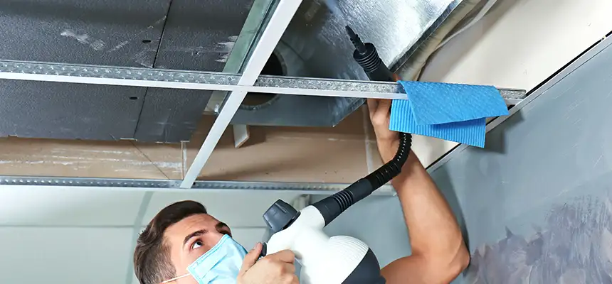 Our Air Duct Rodent Removal Services in Oro Valley, AZ