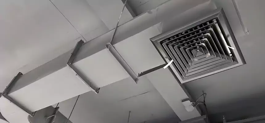 Restorative Allergy Relief Vent Cleaning – Coil, Blower & Housing Detail in Oro Valley