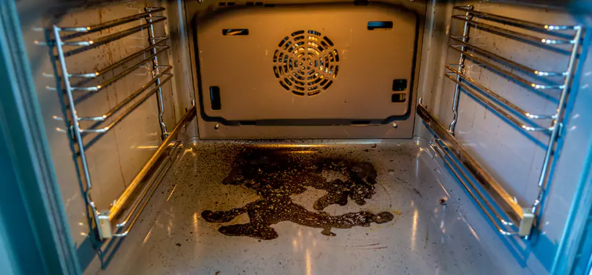 Our Dryer Vent Mold Cleaning Services in Oro Valley, AZ