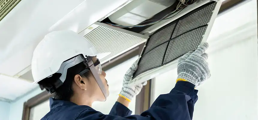 Our Lint Trap Cleaning Service Services in Oro Valley, AZ