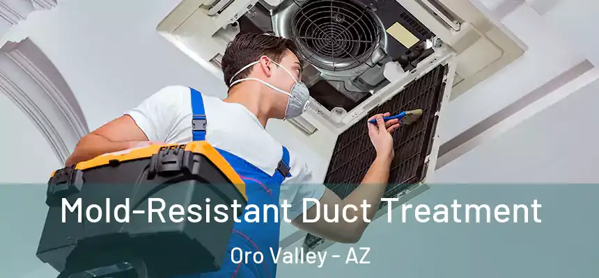 Mold-Resistant Duct Treatment Oro Valley - AZ