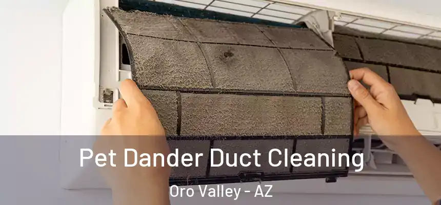 Pet Dander Duct Cleaning Oro Valley - AZ