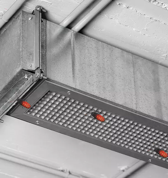 About Air Duct Cockroach Removal in Oro Valley, AZ