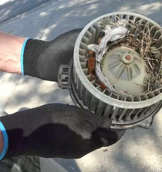 About Air Duct Mice Removal in Oro Valley, AZ