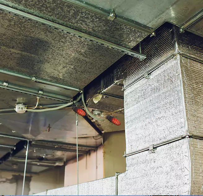 Why Homeowners & Businesses Trust Us in Oro Valley, AZ?