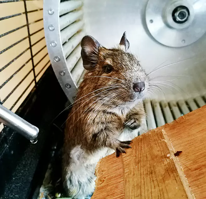 Why Homeowners & Businesses Trust Us Oro Valley, AZ?