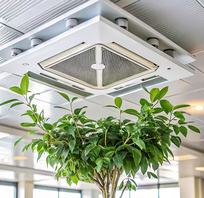 Why Homeowners & Businesses Trust Us in Oro Valley, AZ?