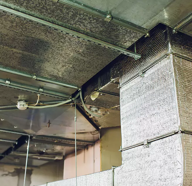 Why Homeowners & Businesses Trust Us in Oro Valley, AZ?