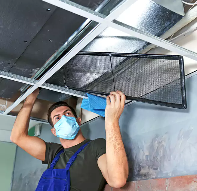 Why Homeowners Businesses Trust Us in Oro Valley, AZ